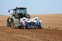 Agriculture Agriculture